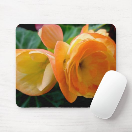 Orange Begonia Mousepad (Mit Mouse)