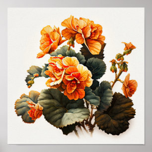 Orange Begonias Blume Art Print Poster