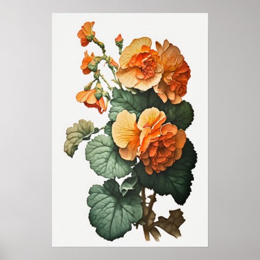Orange Begonias Blume Art Print Poster (Vorne)