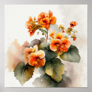 Orange Begonias Blume Art Print Poster