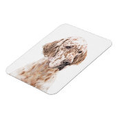 Orange Belton Painting Dog Art Magnet (Linke Seite)