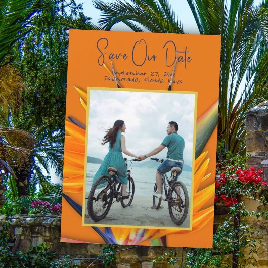 Orange Bird of Paradise Ankündigung Datum freihalt