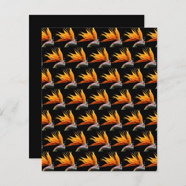 Orange Bird of Paradise Black Scrapbook Paper (Vorne/Hinten)