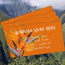 Orange Bird-of-paradise Blume Business Cards