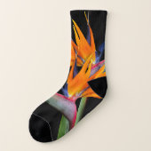 Orange Bird of Paradise Blume Socken (Links - Außen)