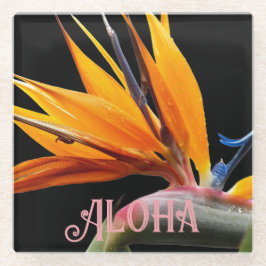 Orange Bird of Paradise Pflanze Bloom Aloha Glasuntersetzer