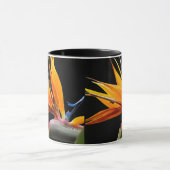 Orange Bird of Paradise Pflanze Bloom Tasse (Zentrum)