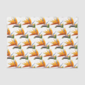 Orange Bird of Paradise Pflanze Blumenmuster Seidenpapier (Vorderseite)