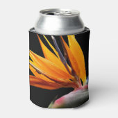 Orange Bird of Paradise Pflanze Blütenblume Dosenkühler (Kanne Vorderseite)