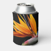 Orange Bird of Paradise Pflanze Blütenblume Dosenkühler (Kanne Rückseite)