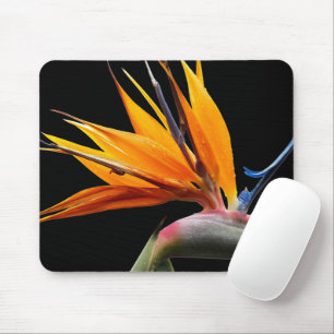 Orange Bird of Paradise Pflanze Blütenblume Mousepad