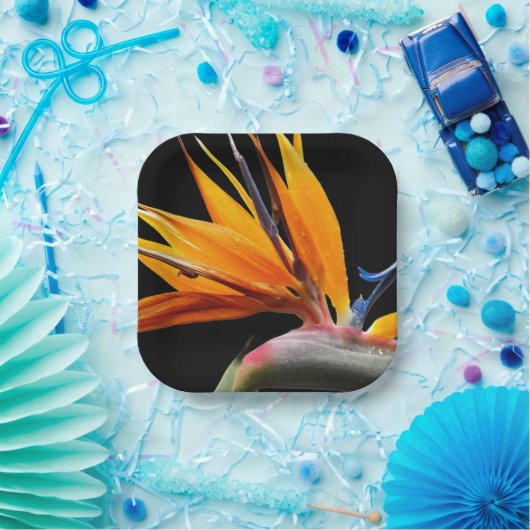 Orange Bird of Paradise Pflanze Blütenblume Pappteller (Party)