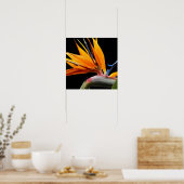 Orange Bird of Paradise Pflanze Blütenblume Poster (Küche)