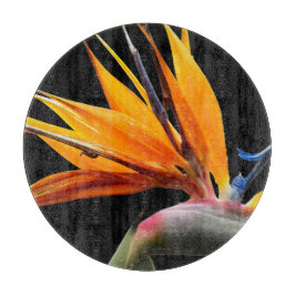 Orange Bird of Paradise Pflanze Blütenblume Schneidebrett