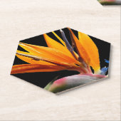 Orange Bird of Paradise Pflanze Blütenblume Untersetzer (angewinkelt)