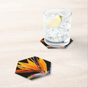 Orange Bird of Paradise Pflanze Blütenblume Untersetzer