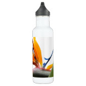 Orange Bird of Paradise Pflanze Edelstahlflasche (Rechts)
