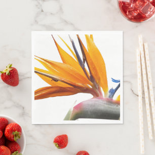 Orange Bird of Paradise Pflanze Floral Serviette