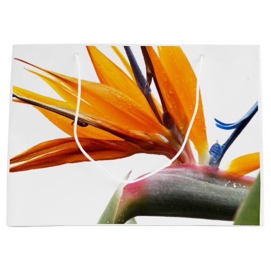 Orange Bird of Paradise Pflanze Pattern auf Weiß Große Geschenktüte (Vorderseite)