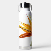 Orange Bird of Paradise Pflanze Trinkflasche (Vorderseite)
