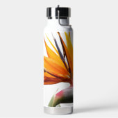Orange Bird of Paradise Pflanze Trinkflasche (Links)