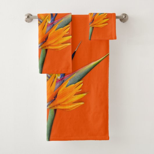 Orange Bird of Paradise Set (Insitu)
