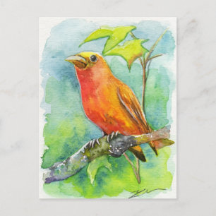 Orange Bird Postkarte