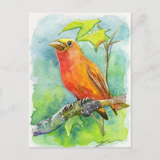 Orange Bird Postkarte (Vorderseite)