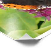 Orange Black and White Butterfly Poster (Ecke)