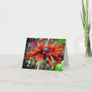 Orange Black Mit Augen Susan Blume Blank Note Card Dankeskarte