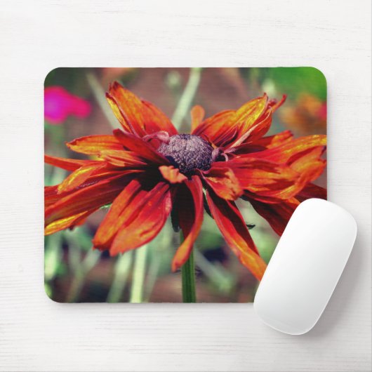 Orange Black Mit Augen Susan Blume Mousepad (Mit Mouse)
