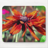 Orange Black Mit Augen Susan Blume Mousepad (Vorne)