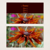 Orange Black Mit Augen Susan Daisy Blume (Vorne & Hinten)