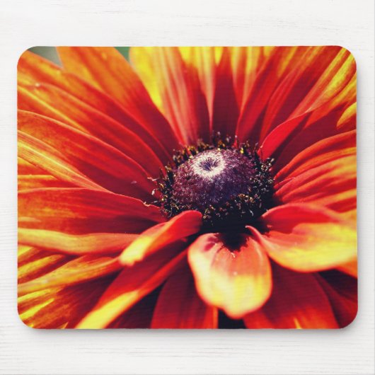 Orange Black Mit Augen Susan Daisy Blume Mousepad (Vorne)