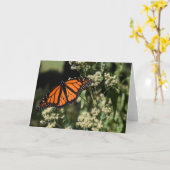 Orange Black Monarch Butterfly Naturfotografie Karte (Gelbe Blume)