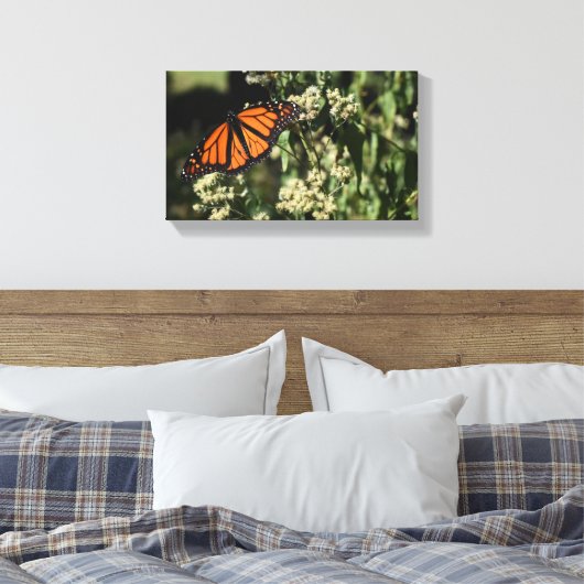 Orange Black Monarch Butterfly Naturfotografie Leinwanddruck (Insitu (Schlafzimmer))