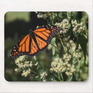 Orange Black Monarch Butterfly Naturfotografie Mousepad