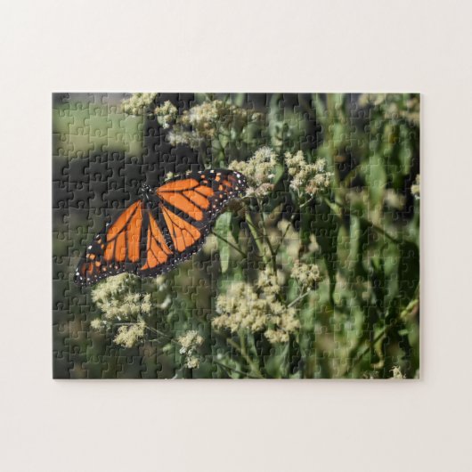 Orange Black Monarch Butterfly Naturfotografie Puzzle (Horizontal)