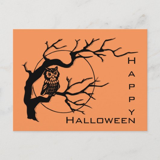 Orange & Black Owl Theme Halloween Postkarte (Vorderseite)