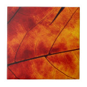 ORANGE BLATT FLIESE (Vorderseite)