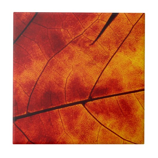 ORANGE BLATT FLIESE (Vorderseite)