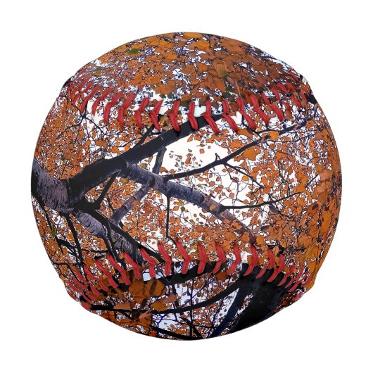 Orange Blätter Baseball (Vorderseite)