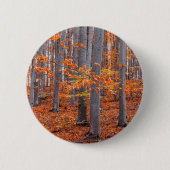 Orange Blätter Fall Forest Foto Button (Vorderseite)