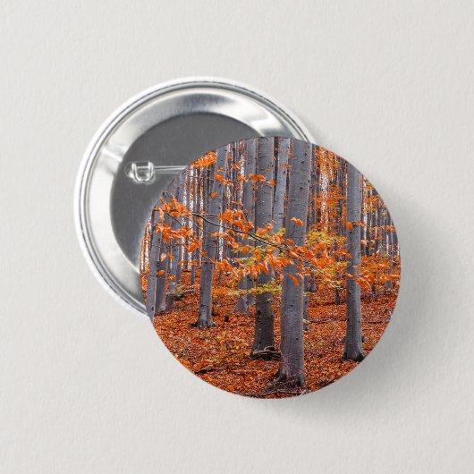 Orange Blätter Fall Forest Foto Button (Vorne & Hinten)