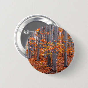 Orange Blätter Fall Forest Foto Button