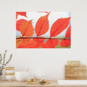 Orange-Blätter im Herbst Poster (Küche)