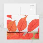 Orange-Blätter im Herbst Postkarte (Vorne/Hinten)