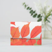 Orange-Blätter im Herbst Postkarte (Stehend Vorderseite)