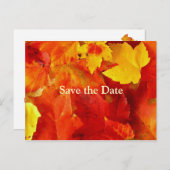 Orange Blätter Save the Date Hochzeit im Herbst Ca Ankündigungspostkarte (Vorne/Hinten)