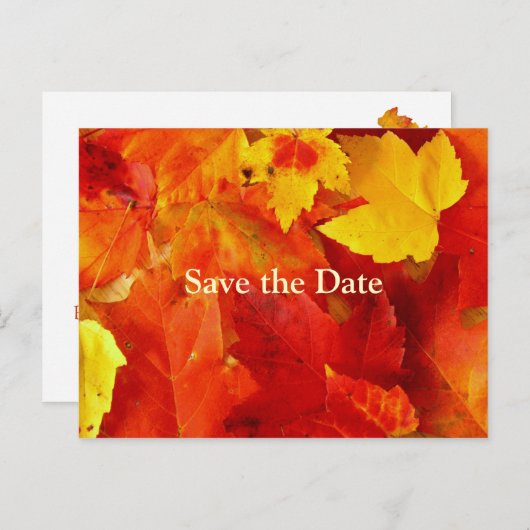 Orange Blätter Save the Date Hochzeit im Herbst Ca Ankündigungspostkarte (Vorne/Hinten)